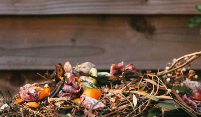 Le tri des déchets organiques deviendra obligatoire dès le 1er janvier