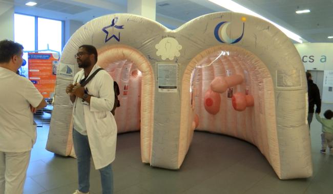 Mars bleu : l'hôpital Marie Curie présente son colon géant
