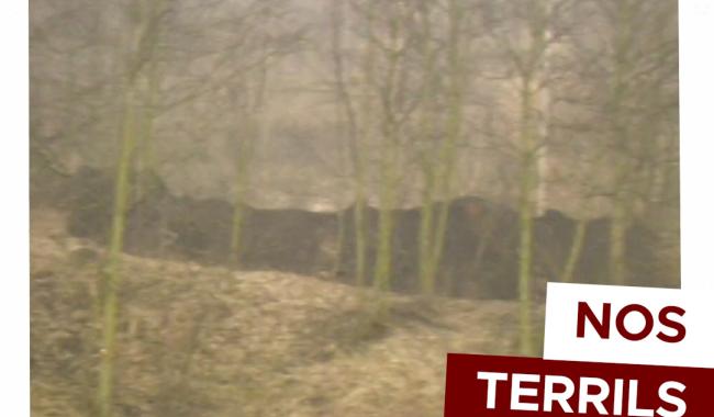 Les Grands Témoins de Local Archives : Nos terrils