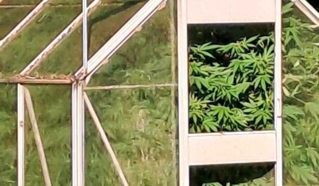Peines de prison requises à l'encontre de trafiquants actifs en Wallonie et à Bruxelles