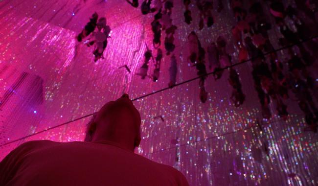 A Tokyo, le TeamLab Planets est un modèle qui séduit les Dirty Monitor