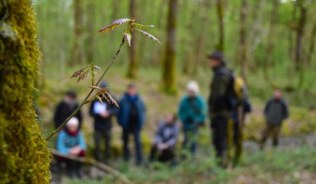 Natagora ouvre de nouvelles classes de formations dans toute la Wallonie
