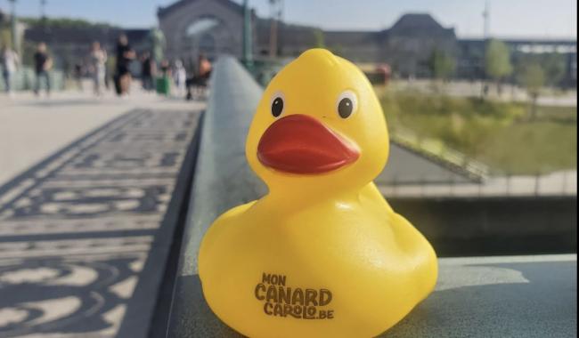 La toute première course de canards débarque à Charleroi