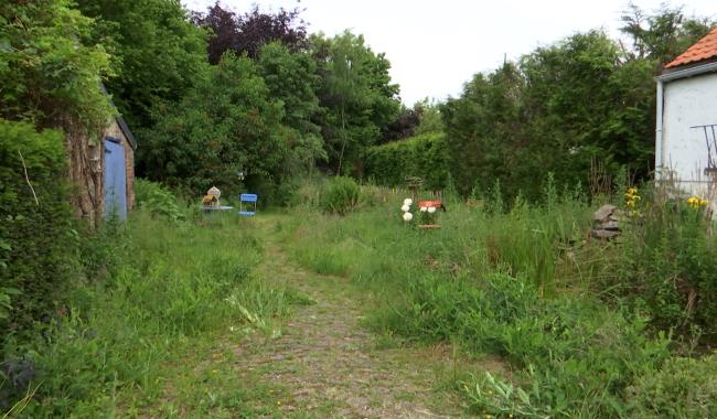 Visite d'un jardin à l'anglaise à Anderlues