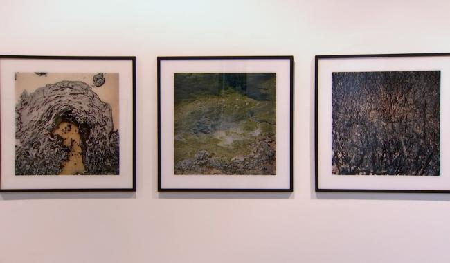 Albedo, l'exposition sur l’empreinte de l’homme sur la planète au BPS22