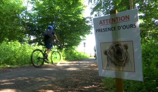 500 cyclistes et un Ours pour la troisième édition du VTT d'Anderlues