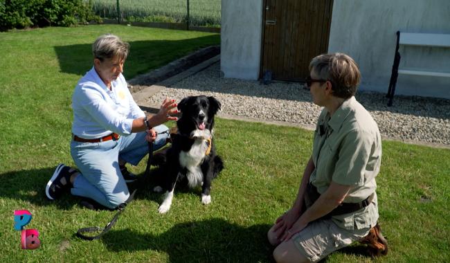 Pense-Bêtes : Les soins énergétiques en duo avec son chien