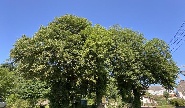 Thuin : la mobilisation contre le projet immobilier sur l’ancienne gare se poursuit