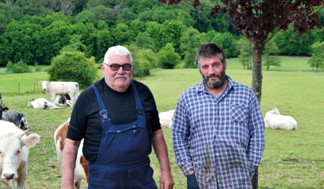 La ferme Leurquin à Salles, remporte le titre de plus belle prairie wallonne 2025 !