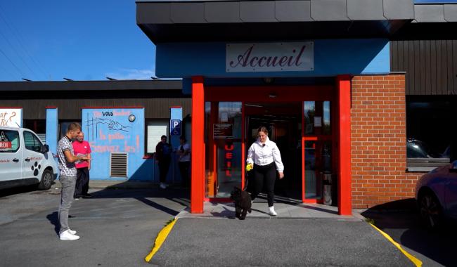 Bien-être animal : Adrien Dolimont présente ses priorités pour les prochaines années