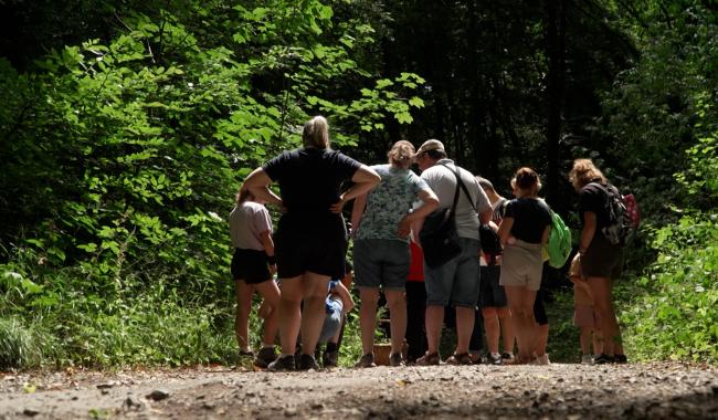 Une balade gourmande 100% nature à Marcinelle