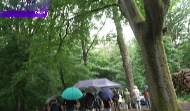 Thuin : une balade musicale pour célébrer les 300 ans et la rénovation du Calvaire au Bois du Grand Bon Dieu