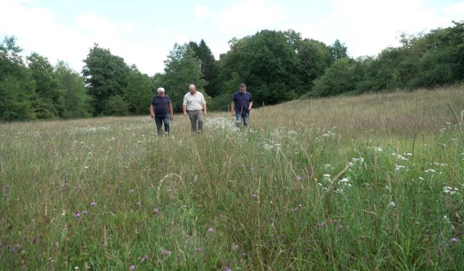 Une prairie de Salles en lice pour le concours de la plus belle prairie wallonne