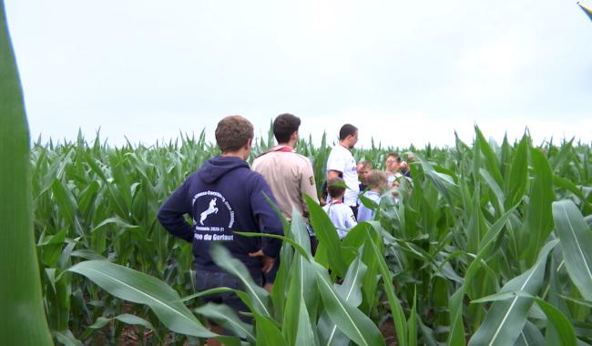 Le labyrinthe géant Le Grain Égaré de Tarciennes est de retour !