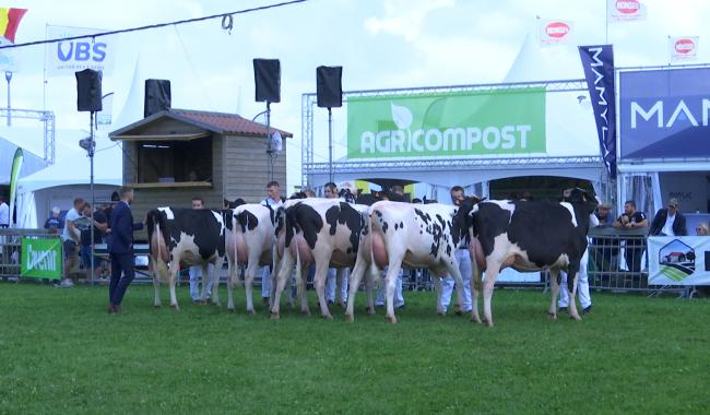 Foire de Libramont : à la découverte des métiers et agriculteurs carolos