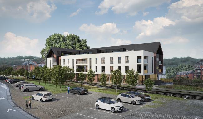 Thuin : Abattage des marronniers, le promoteur réagit