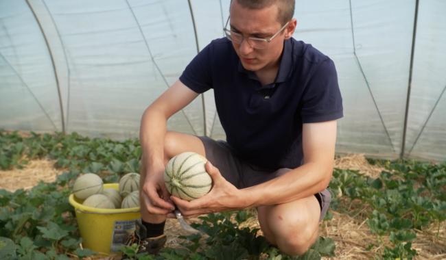 Le melon de Thirimont, c'est tout bon !