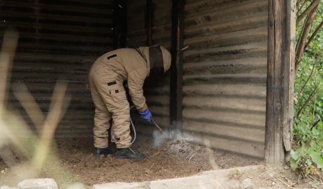 Les nids de guêpes sont de plus en plus nombreux. Quels moyens pour les neutraliser ?