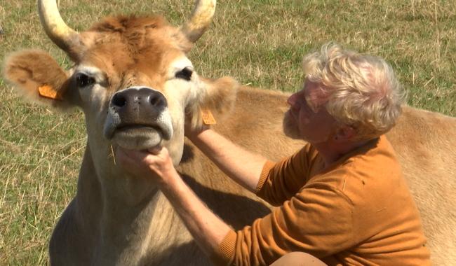 Le sanctuaire "L'aurore" organise une marche solidaire, le 19 octobre à Gozée