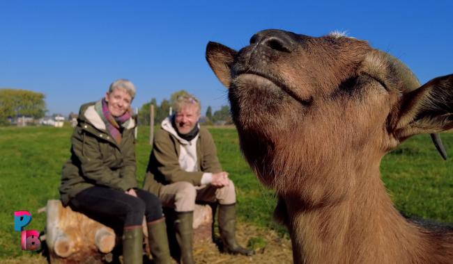 Pense-Bêtes : L'éco-sanctuaire l'Aurore à Gozée