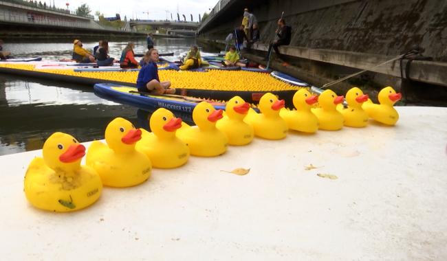 Charleroi : beau succès pour la première course caritative "Mon Canard Carolo"