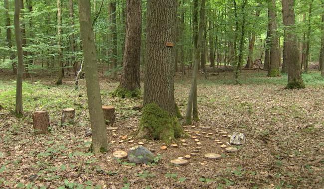 Les six hôpitaux du Grand Charleroi et de Chimay accueilleront un Espace du Souvenir