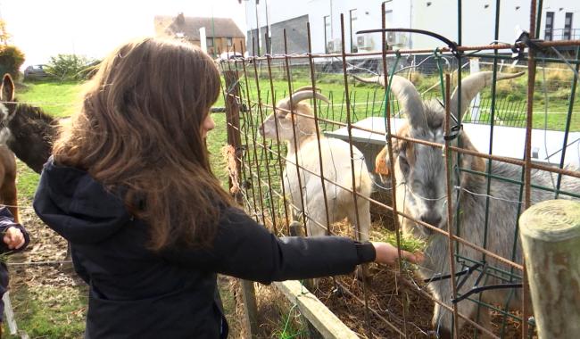 Gerpinnes: lancement du Festival 100% rural