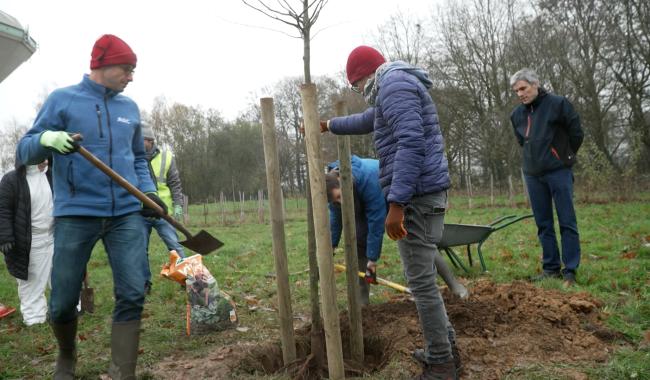 Gosselies : un team building les mains dans la terre
