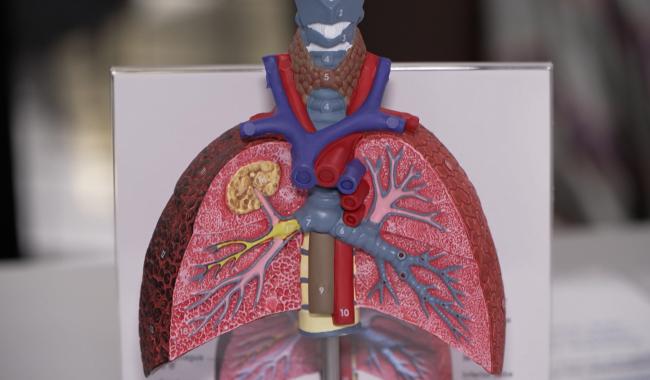 Le Grand hôpital de Charleroi alerte sur les dangers du tabac, de la vape et du cannabis