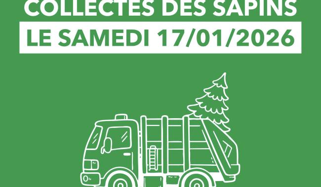 Tibi : le ramassage des sapins de Noël se fera le 17 janvier