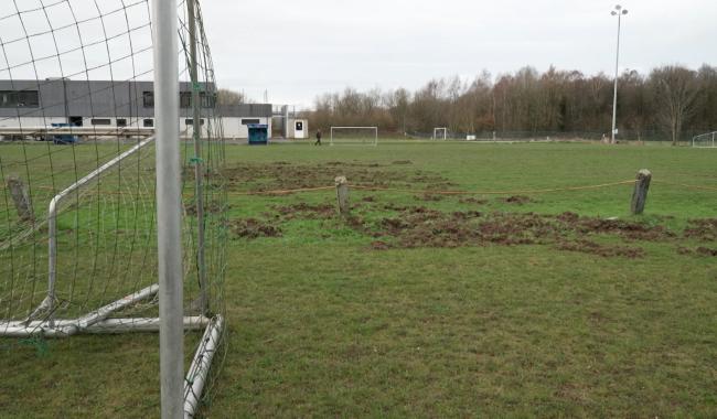 La RJS Thuin face aux dégâts causés par les sangliers