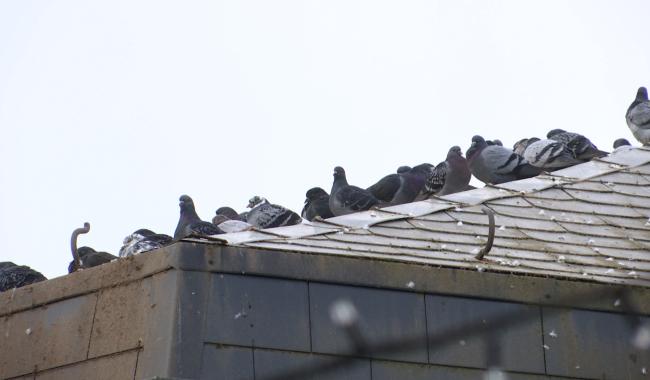 Chimay modernise ses services et lutte contre les nuisances