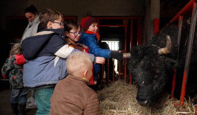 « Les semeurs de graines », une école à la ferme qui veut s’agrandir