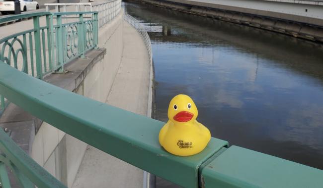 L'édition 2026 de Mon Canard Carolo est sur les rails et lance son appel à projets!