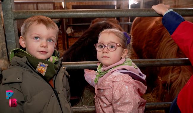 Pense-Bêtes : Stage à la ferme du champ du Loup