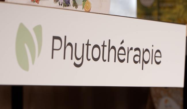 Phytothérapie: une médecine des plantes naturelle pour revigorer le corps humain !