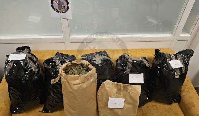 La zone de police des Trieux découvre plus de 20 kilos de cannabis!
