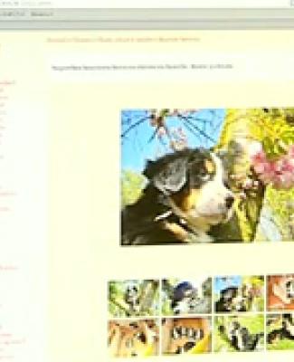 04/05/11 : ARNAQUES SUR INTERNET ?