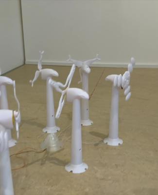 C dans la Poche - 07/11/2024