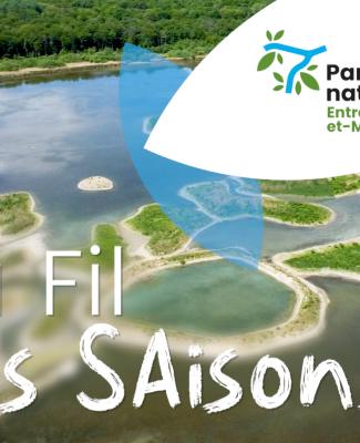 Au fil des saisons : l'automne