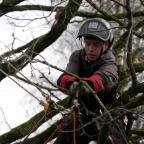 Gerpinnes : des apprentis élagueurs pour préparer le chantier du RAVeL à Gougnies