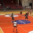 Les Dauphines gaspillent pour leur dernière à domicile