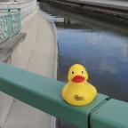 L'édition 2026 de Mon Canard Carolo est sur les rails et lance son appel à projets!