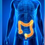 Cancer colorectal : un test gratuit pour les 50-74 ans