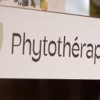 Phytothérapie: une médecine des plantes naturelle pour revigorer le corps humain !