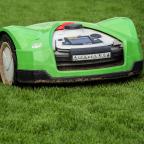 La Wallonie interdit les robots-tondeuses à certaines heures pour protéger les hérissons