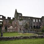 Le chantier de rénovation de l'Abbaye d'Aulne à l'arrêt à cause... d'un faucon pèlerin