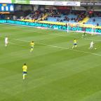 Pas d'amélioration pour les Zèbres