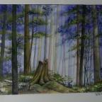 C Local : expo arbres, fleurs et végétaux à la Posterie