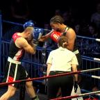 Undisputed: pari réussi pour l'AZ Boxing